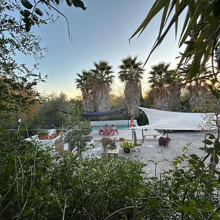Loft Independiente "La Casita Del Olivo Centenario" 코르도바 외부 사진