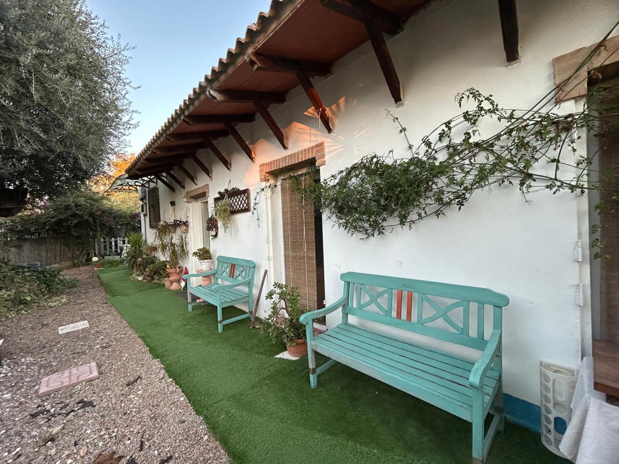 Loft Independiente "La Casita Del Olivo Centenario" 코르도바 외부 사진